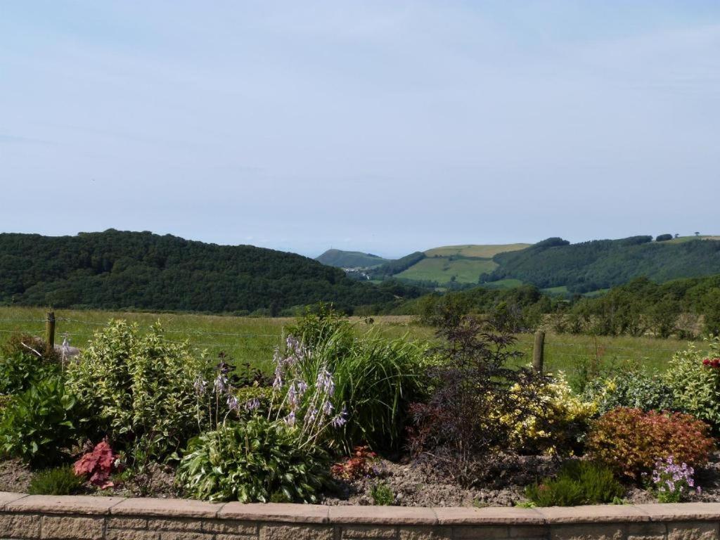 Aberystwyth Enlli Cottage エクステリア 写真